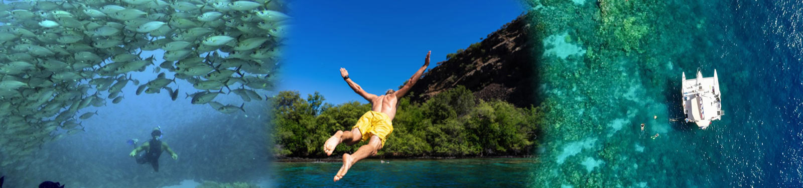 Sea Paradise Big Island ocean adventures